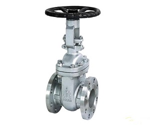 不銹鋼楔式閘閥