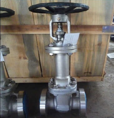 波紋管閘閥廠(chǎng)家